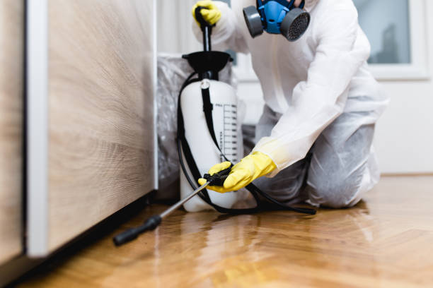 Best Best Pest Control Companies  in Zimmerman, MN