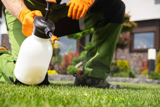Best Pest Control for Homes  in Zimmerman, MN