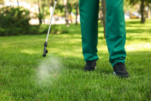 Best Pest Control Near Me  in Zimmerman, MN