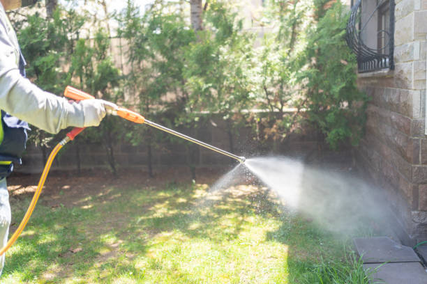 Wildlife Control Services in Zimmerman, MN