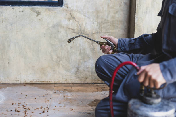 Pest Control Cost in Zimmerman, MN